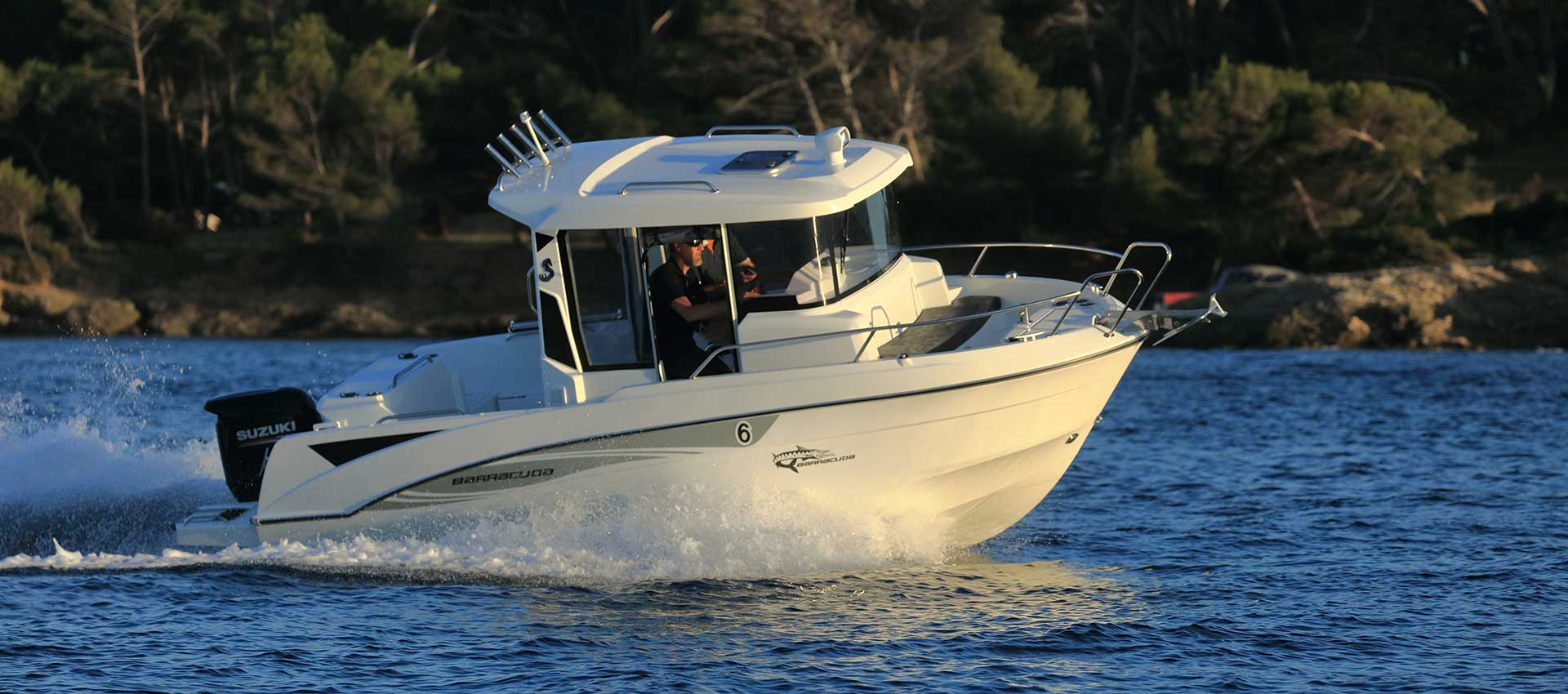Barracuda 6