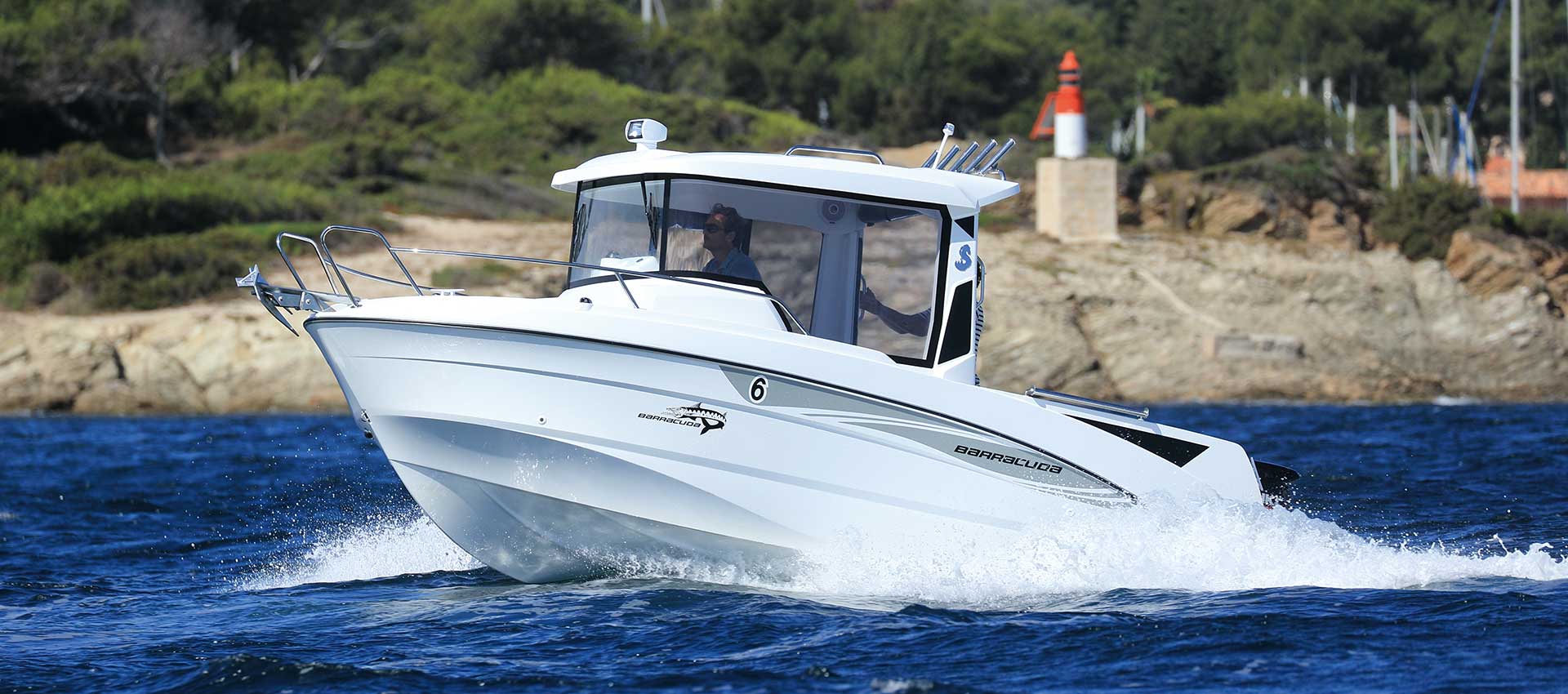 Barracuda 6