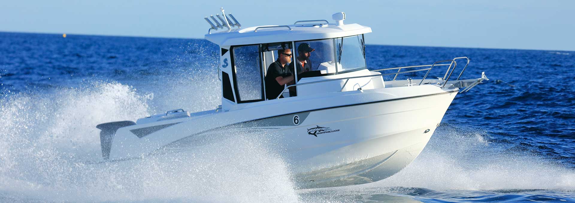 Barracuda 6