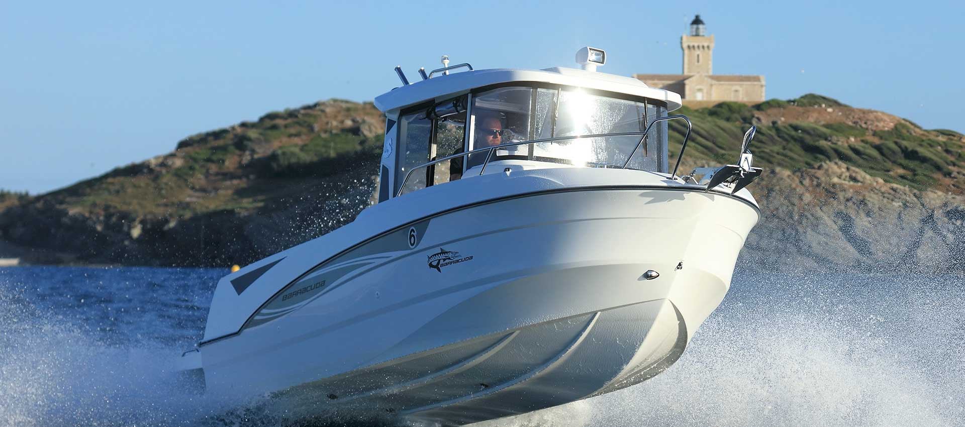 Barracuda 6