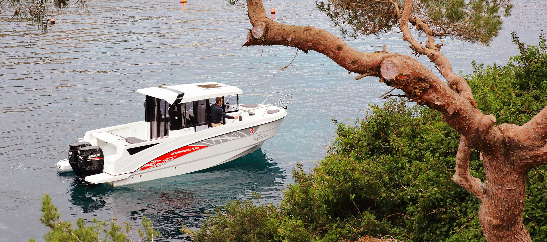 Barracuda 8