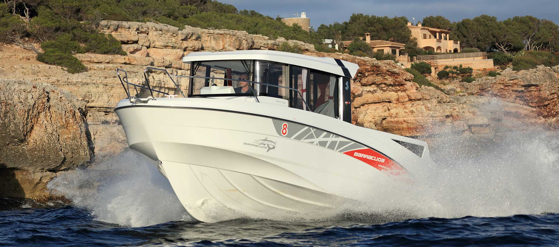 Barracuda 8