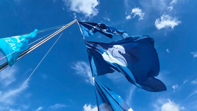 Die perfekten Segelboote für Berlin-Brandenburg & Mecklenburg-Vorpommern.